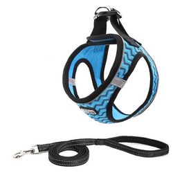 Witdreamer Trin i hundesele åndbar mesh vest reflekterende blød polstret til katte hvalpe kæledyr Bluestripe XS