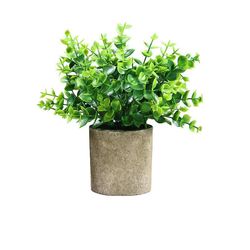 kartokner Kunstige planter med blomsterpotter små blomsterpotter kontor desktop dekoration falske planter