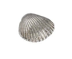 Wentworth Støbt tin Lille Cockle Shell Ornament - JK03