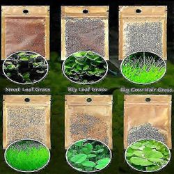 Siro 6 kpl akvaariokasvit vesivesi ruohon siemenet akvaario maisemakoriste .