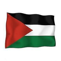 Sarl Acacha Tarra tarra lippu palestiinalainen Palestiina moottori pyörä vinyyli