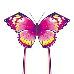Ersam Värikäs Life Butterfly Kite 300 jalan narulla