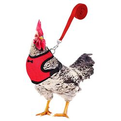 Boeyaa Mode Kylling Duck Vest Høne Bælte Kæledyr Sele Matchende Kraver Bue Rød M