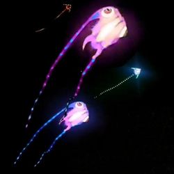 Gratis forsendelse LED Trilobites Kite for voksne Kite String Line Windsurfing Papalote Udendørs legetøj Sport Professionel Kite Koi Carp 65kvm