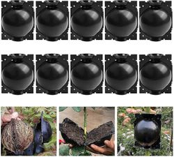 10 kpl kasvien juurtumislaitteita, kasvien juurikasvatuslaatikko kasvien lisäämiseen, uudelleenkäytettävä lisäysjuuripallo Musta M