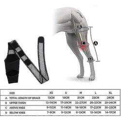 Koiran polvituki repeytyneeseen ACL:ään, takajalkojen tukeen, luksaatiopolvilumpion palautumiseen, koiralle S