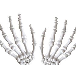 Barsinfi Et par Halloween realistisk livsstørrelse skelet hænder plast falske menneskelige hånd 12*9cm