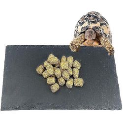 Pet skildpadde fodring parabol, Natural Rock Reptile Food Bowl Landskab Habitat Decor For Turtle Lizard