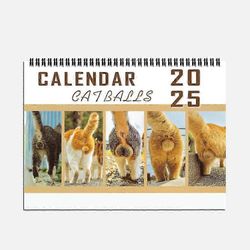 Cat Balls -kalenteri 2025, Funny Cat Butthole -kalenteri 12 kuukauden kissapallokalenteri, uusi hauska kissapallojen seinäkalenteri 2025, joululahj...