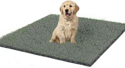 80 x 120 cm konstgräs Hundgräsmatta och gräsdörrmatta inomhus utomhusmatta Konstgräs gräsmatta för hundar Potty Training Pad Area Uteplats Gräsmatta D