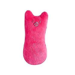 Sjove interaktive kæledyr plys Catnip Legetøj Pink
