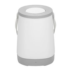 Bluetooth-kompatibel høyttaler Oppladbar En-tast Start Radiofunksjon Stereo Sound Abs Bærbar høyttaler FM-spiller LED-lampe for hjemmet Grå