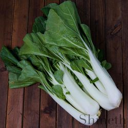 Shineth Trading Kiinalainen valkokaali - Pak Choi (Brassica rapa)