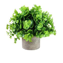 kartokner Kunstige planter med blomsterpotter små blomsterpotter kontor desktop dekoration falske planter