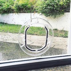 Kirkas lasi lemmikkiovi 30cm * 30cm * 4cm valikoiva sisäänkäynti, helppo asentaa, manuaalinen lukitus, energiatehokas