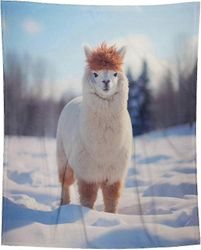 t320 Viltti Alpaca Flanelli Heittohuopa, Super Soft Fuzzy Lämmin, Kevyt Pörröinen Muhkea Alpakkahuopa Bn320 180x200cm 80x70in