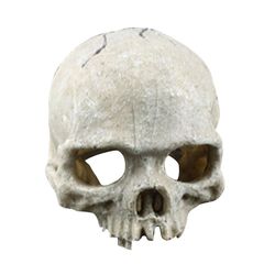 Sslzw Skull Aquarium koriste terraario Matelija Kalasäiliö Koriste Koriste Simulointi Maisema Oletus