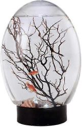 Mini Fish Tank Ecosphere suljettu vesiekosysteemi työpöytäakvaario LED-pyörivällä pohja-akvaariolla - hyvä