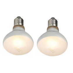 2 kpl matelija uvb uva lämpölamppu todella - kuten kirkas lämpö , sammakkoeläimet ja linnut (100 W Valkoinen