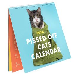Pissed Off Cats Kalender 2024 Sjov vægkalender, Kalender, Hængende Kalender, 12 måneder Som vist