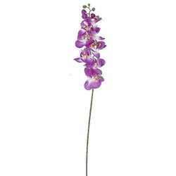 Den nye 1stk Simulation Orchid