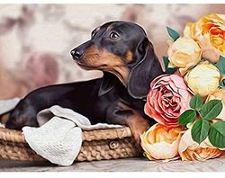 Gravhund Fuld 5d DIY Diamantmaleri Korssting Hund &blomst 3d Diamantmaleri Fuld Rhinsten Malerier Broderi Gaver 427G531 Round 30x40cm