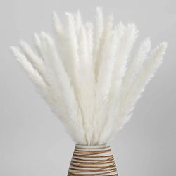 Tørret Pampas Græs-naturlige, 30 stk Reed Græs Plumes, Tørret Blomsterbuket til Diy Home Kitchen Bryllup Party Decor Hvid