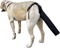 unbrand Koiran häntäsuoja, Koiran häntäsuoja Koiran häntäsuoja haavoille Musta koiran valjaat, jotka ovat yhteensopivia Walkbee A B