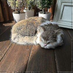 Realistinen nukkuminen Elävä Kissa Pehmo Tekoturkis Luonnollisen kokoinen Karvainen Taloeläin Laadukas 2025 Ruskea