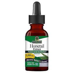 Nature's Answer Horsetail, Alkoholiton uute 1 FL Oz (1 kpl:n pakkaus)