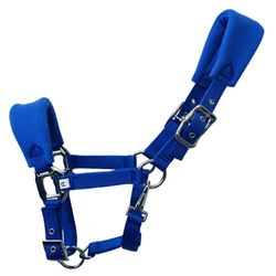 Ruili Hest halter med cusion tyk metal snørebånd tyk pp Webbing med 3 slots blå M