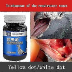 Kyyhkynen kilpakyyhky Trichomonas hengitysteiden keltaiset pisteet ja valkoiset pisteet kaksinkertainen vaikutus kaksi yhdessä