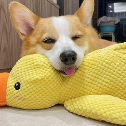 Interaktiivinen puoskaroiva ankkalelu, joka on yhteensopiva koiran kanssa aidolla puoskariäänellä, täytetty ankkakoiran lelu, 100% uusi -szhg Kelta...