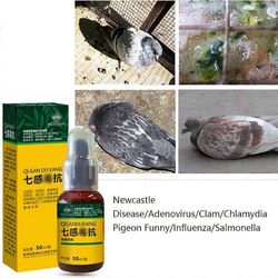 Redkid Kyyhkynen kyyhkynen rokko Vetinen uloste Vihreä uloste Salmonellarauhanen Klamydia