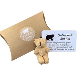 Eocici En liten Bear Pocket Hug Gift Mini Håndlaget Bear plysj leker + kort Lys brun
