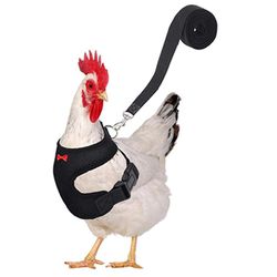 Boeyaa Mode Kylling Duck Vest Høne Bælte Kæledyr Sele Matchende Kraver Bue Sort XL