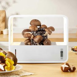 Älykäs sienien istutuskasvatussarja, täysautomaattinen ilmalaatikko, jossa on valoa itiöille