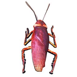 Eloisa 3D Simulaatio Torakka Pehmo tyyny Kepponen Rekvisiitta Hyönteisten Torkut Lelu 55cm