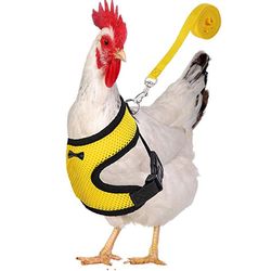 Boeyaa Mode Kylling Duck Vest Høne Bælte Kæledyr Sele Matchende Kraver Bue Gul L