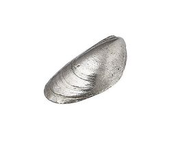 Wentworth Støbt tin muslingeskal ornament - JK17