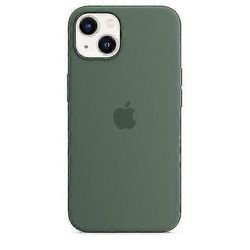 Silikonikotelo Magsafella iphone 13 -puhelinkotelolle Eucalyptus