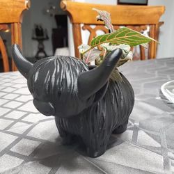 HOH Highland Cow Planter Plant Pot til hjemmet Have indretning, Housewarming Gaver Til Ko Elskere, Harpiks Highland Cow Form Flower Pot Sort