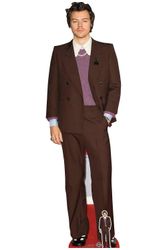 Harry Styles H Styles Mauve Jacket Lifesize papp Utskjæring / Standee