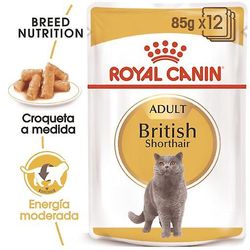 Royal Canin FBN Märkä brittiläinen lyhytkarva (kissat, kissanruoka, märkäruoka) 85 gr