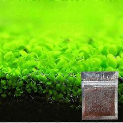 Akvaario koristekasvi siemenet kalasäiliö maisema koristelu vesi ruoho siementä helppo kasvattaa Small Leaf