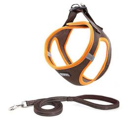 Witdreamer Trin i hundesele åndbar mesh vest reflekterende blød polstret til katte hvalpe kæledyr Brown XS