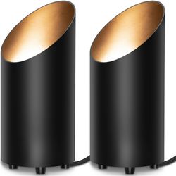 2 kpl sisäkohdevalot kotikasveille ja kuville, 5,9 jalan säädettävä jalusta, lämmin valkoinen LED-kirkkaus