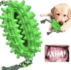 2024,hundeleketøy med sugekopp - Molar Interaktiv tyggeleke - Kaktusgrønn