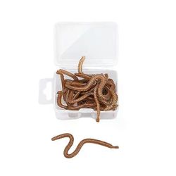 18 g/laatikko Luonnolliset hiekkamadot Elävät kalastusvieheet makean veden syöttömonniin kalan hajuinen pehmeä syötti