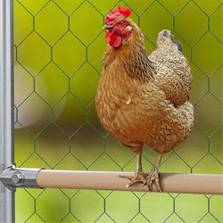 4-pakkaus kana-ahvensetti - kana-asusteet, vahvat roosting-tangot Coop &; Brooderille Kuten